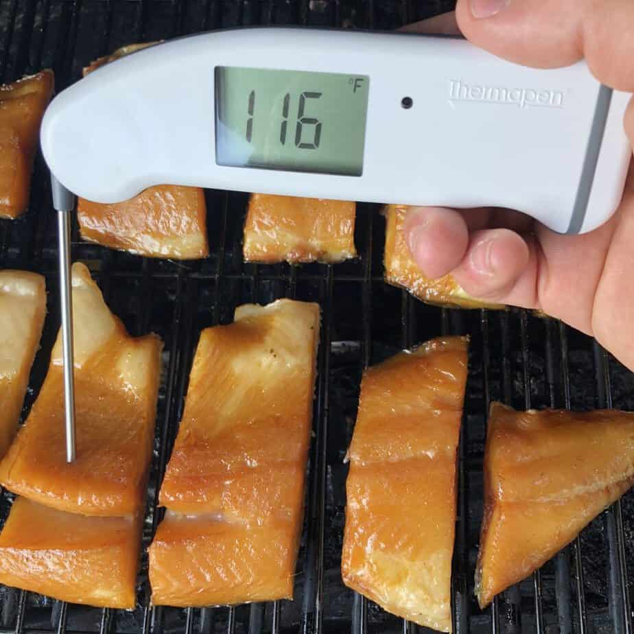 Thermapen MK4 in Smoked Salmon