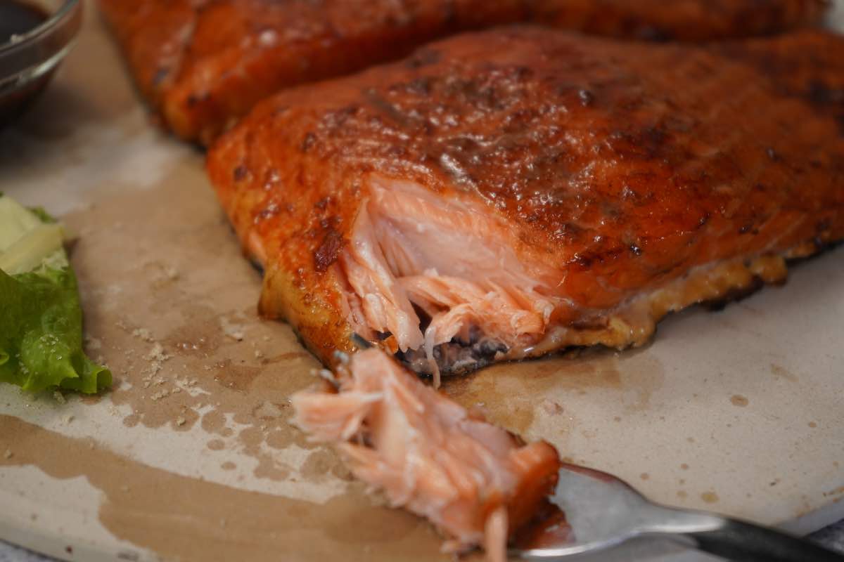 Salmon with bite missing