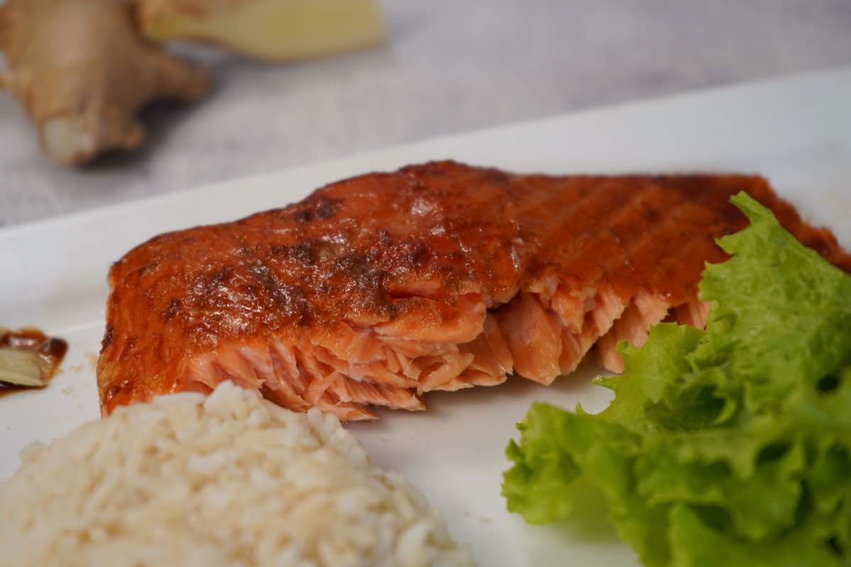 Teriyaki Smoked Salmon Close up